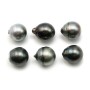 Tahitian pearl half round 12.5x13.5mm x 6pcs