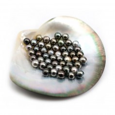 Perla cultivada de Tahití, redonda, 7mm x 50pcs