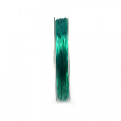 Filo elastico verde 1,0 mm x 25 m