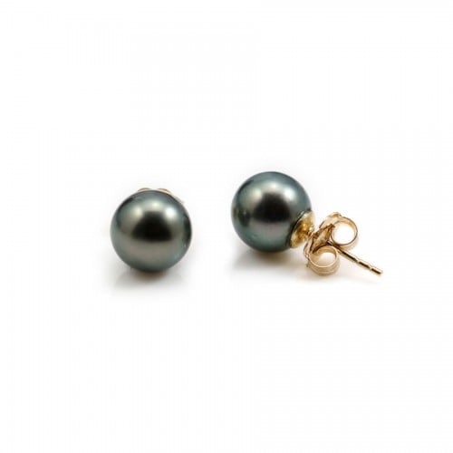 Tahitian cultured pearl earrings & Gold Filled x 2pcs