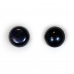 Perle de culture d'eau douce, semi-percée, bleue foncée, bouton,11-12mm x 1pc