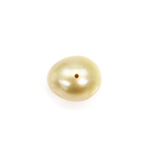 Perle des mers du Sud, entièrement percée, champagne, ovale, 11-11.5mm x 1pc