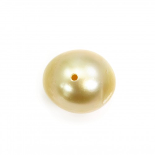 Perle des mers du Sud, entièrement percée, champagne, ovale, 10.5-11mm x 1pc