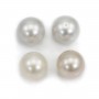 South Sea Pearl, white, round, 13-14mm, AA x 1pc