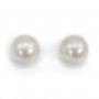 Perle des mers du Sud, blanche, ronde, 14-15mm, AA+