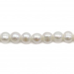 Perle coltivate d'acqua dolce, bianche, ovali/irregolari, 7-8 mm x 40 cm