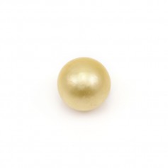 South Sea Pearl, champagne, round, 9-9.5mm x 1pc
