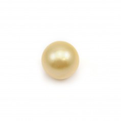 Perla dei Mari del Sud, champagne, rotonda, 9-10 mm x 1 pz