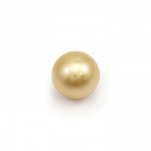 South Sea pearl, gold, round, 9-9.5mm x 1pc
