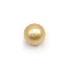 South Sea pearl, gold, round, 9-9.5mm x 1pc