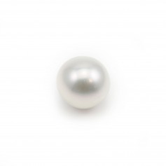South Sea Pearl, white, round, 10-10.5mm, AA+ x 1pc