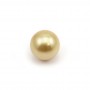 South Sea pearl, gold, round, 9.5-10mm x 1pc