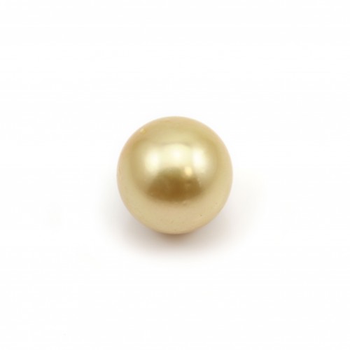 Perle des mers du Sud, dorée, ronde, 9.5-10mm x 1pc