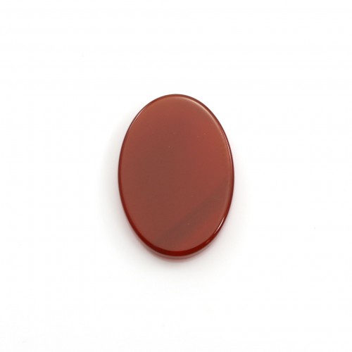 Cabochon di agata rossa, ovale piatto, 10x14mm x1pc