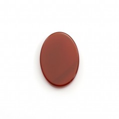 Cabochon agate rouge, ovale plat, 10x14mm x1pc