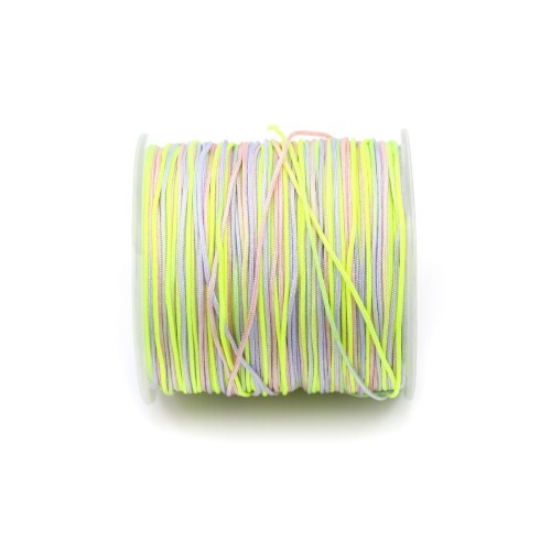 Fil polyester multicolore ton pastel 0.8 mm x 5m