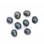 Perles de culture d'eau douce, semi-percée, bleue foncée, ovale, 5-5.5mm x 2pcs
