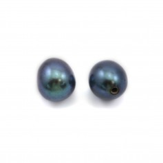Perle di coltura d'acqua dolce, semiperforate, blu scuro, ovali, 6-6,5 mm x 2 pz