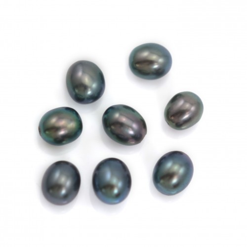 Perles de culture d'eau douce, semi-percée, bleue foncée, ovale, 4-4.5mm x 2pcs