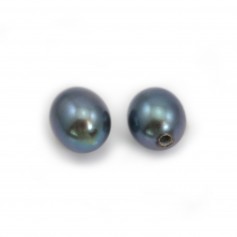 Freshwater cultured pearls, semi-perforated, dark blue, oval, 4-4.5mm x 2pcs