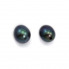 Freshwater cultured pearls, half drilleddark blue, oval, 7-7.5mm x 2pcs