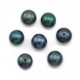 Perle de culture d'eau douce, semi-percée, bleue foncée, bouton, 7-7.5mm x 1pc