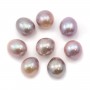 Freshwater cultured pearl half drilled purple, in oval shape, in size of 9-9.5mm x 1pc