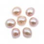 Perle de culture d'eau douce, semi-percée, mauve, ovale, 10-10.5mm x 1pc