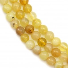 Opale giallo rotondo 4 mm x 40 cm