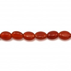 Agate rouge ovale plate 6x8mm x 6pcs