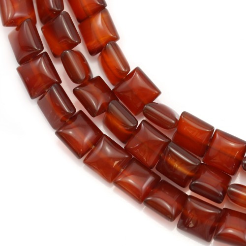 Red agate clover 16mm x 40cm