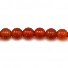 Round red agate 4mm x 20pcs