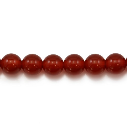 Red agate round 6mm x 20pcs
