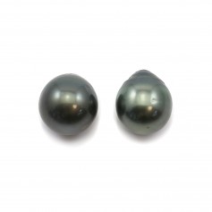 Perla cultivada de Tahití, semirredonda, 10-10,5mm x 2 piezas