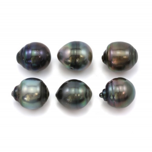 Perla coltivata di Tahiti, semitonda, 12,5x13,5 mm x 6 pezzi