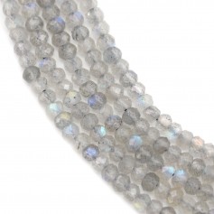 Labradorite faceted roundel bead strand 2x3mm x 40cm
