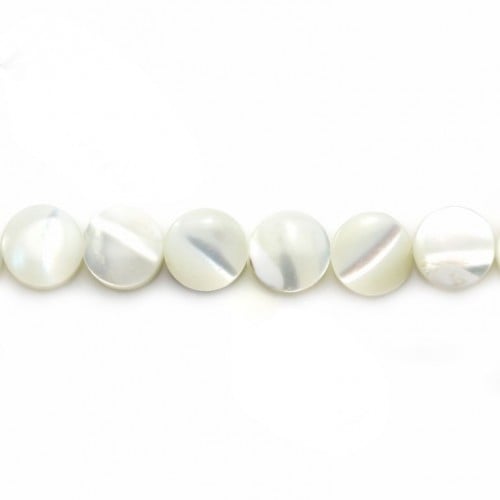 White mother-of-pearl flat round beads 6mm x 12 pcs