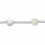 White mother-of-pearl rose bead 8mm x 2pcs