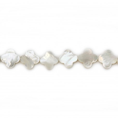 White mother-of-pearl clover beads on thread 18mm x 40cm