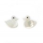 White mother-of-pearl duck 10x10mm x 2pcs
