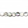 Gray mother-of-pearl flat round beads on thread 10mm x 40cm