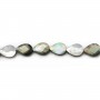 gray shell with Faceted Flatted Teardrop 10x14mm x 4 pcs
