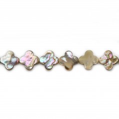 Mother of pearl abalone clover shape bead strand 13mm x 40cm