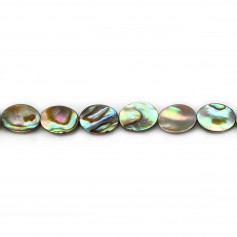 Abalone-Perlmutt in Oval auf Draht 6x8mm x 40cm