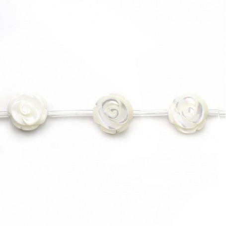 Nacre blanche en forme de rose sur fil 10mm x 40cm