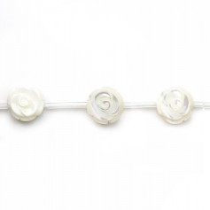 Nacre blanche en forme de rose sur fil 10mm x 40cm