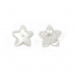 White mother of pearl flower with 5 petals 8mm x 1pc