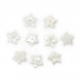 Nacre blanche en fleur à 5 pétales 8mm x 1pc