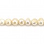 Perles de culture d'eau douce, blanche, ovale/irrégulière, 7-9mm x 40cm