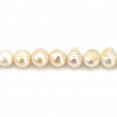 Perle coltivate d'acqua dolce, bianche, ovali/irregolari, 7-9 mm x 40 cm